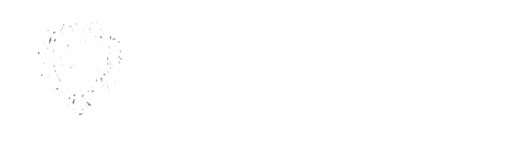 St. Patrick Parish and Oratory